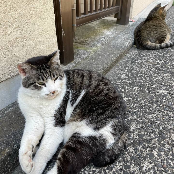 80a73693 32c7 4aee 8158 a9661b6c6188 1618904556035