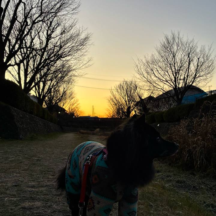 80a74f70 8c47 48a0 94c1 2a4b3584fb19 1767570916022