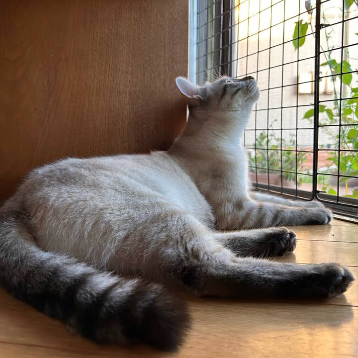 80a7df28 f5af 4c12 80b7 d858b0a9ace0 1755768446154