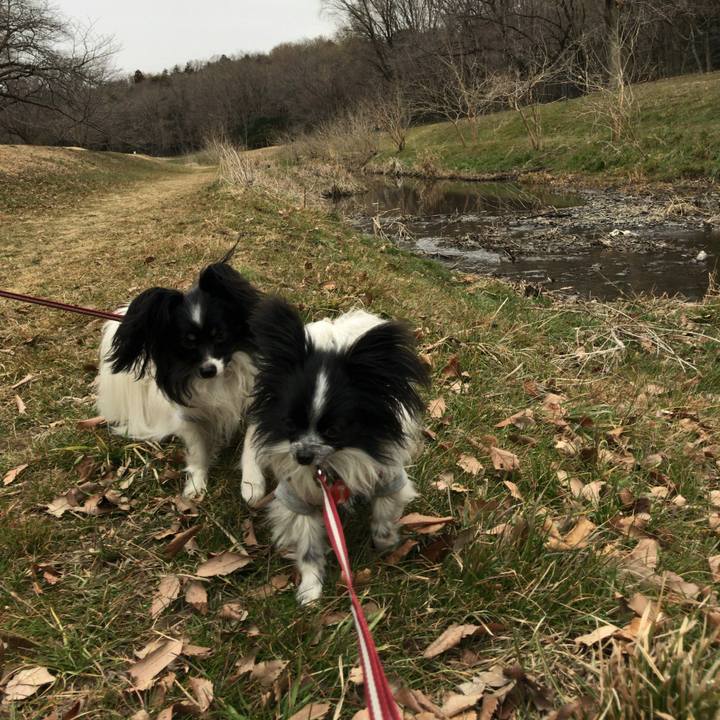 80a7fa97 e5e9 497c 9fe5 2180031707e9 1519567486500