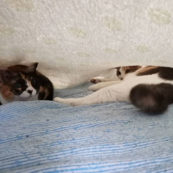 80a80a0d dd1d 448a 982c a728f547962e 1663400382744