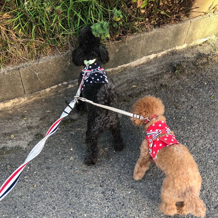 80a8170c 1f84 4a6c b89e 57f442ad2593 1601888430900