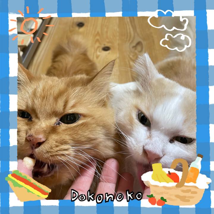 80a838cb 1e2e 4c03 a826 ce153c7f6963 1744755203439