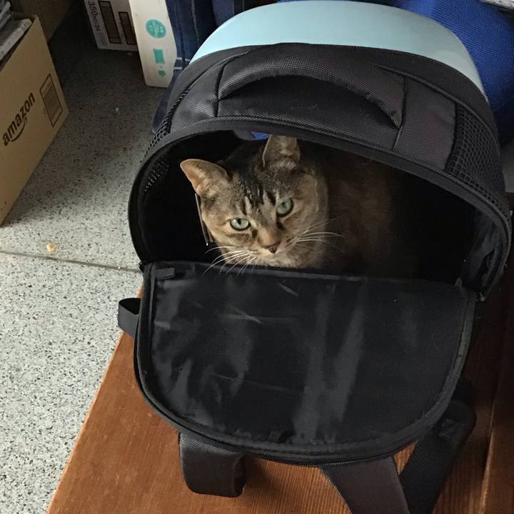 80a848f6 1e4e 453a 9220 949f4884e9a8 1712563789593