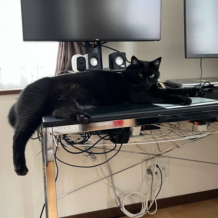 80a85708 ebc7 4a0c bd99 b76f1957d20a 1689382494244