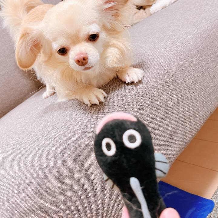 80a86866 8ae2 42c1 b70e b42dc15ff3bf 1653993350304