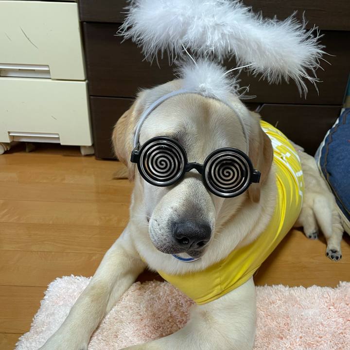 80a897ec 6d1b 4203 87b4 dec545af7c56 1626705427118