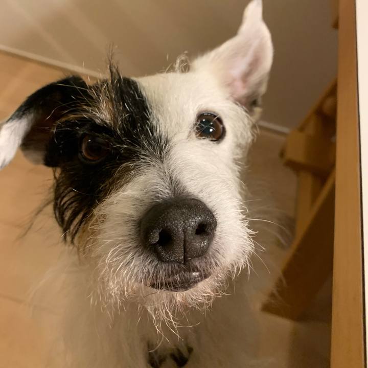 80a8f7df 2455 4180 8c0f dec203e20f7d 1675419705221