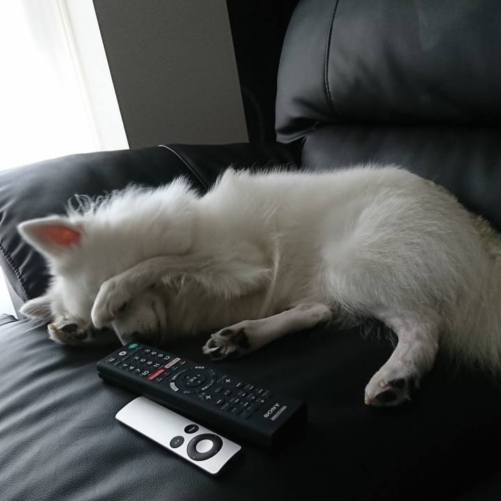 80a9094e 1875 4b57 92d5 a694dd4981d7 1533180964275