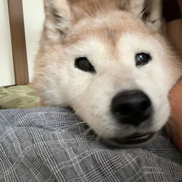 80a9199a 1544 4cb4 a882 321bcab7d54e 1695344096467