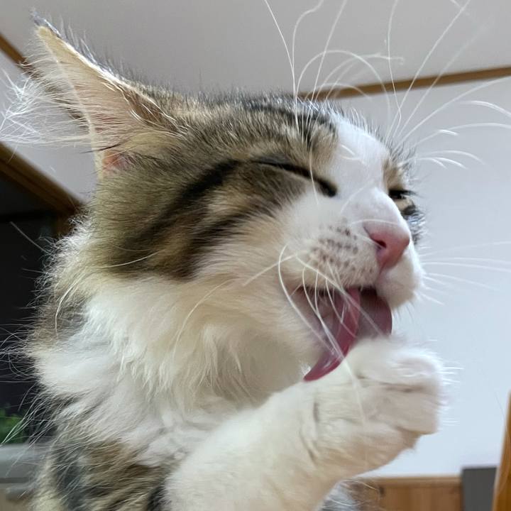 80a97e10 cf84 4434 a1e1 e8b0285789b5 1633987316272