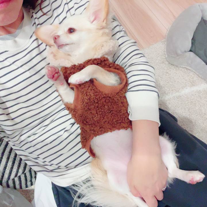 80a9c4ba 5601 4f61 98f7 56a5c35a389f 1700144183736