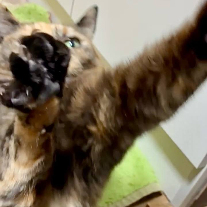 80a9df0f 3e7b 421e 9562 f4a06c75c102 1767959367696