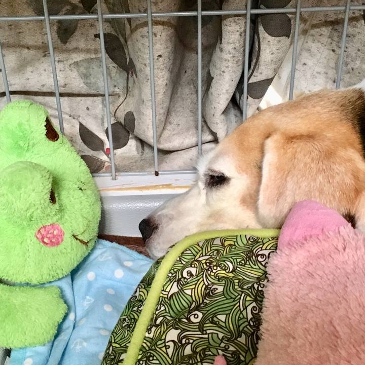 80aa1044 137c 4e3e b904 c35af47135e8 1566880518899