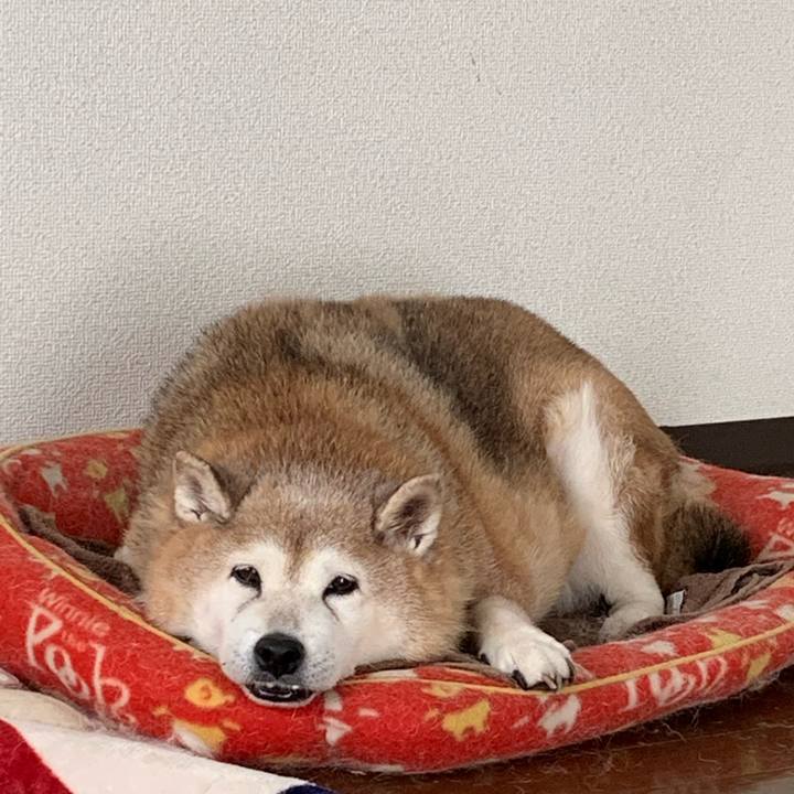 80aa12b5 1c79 46d1 bab0 127406f2d36c 1635751488119