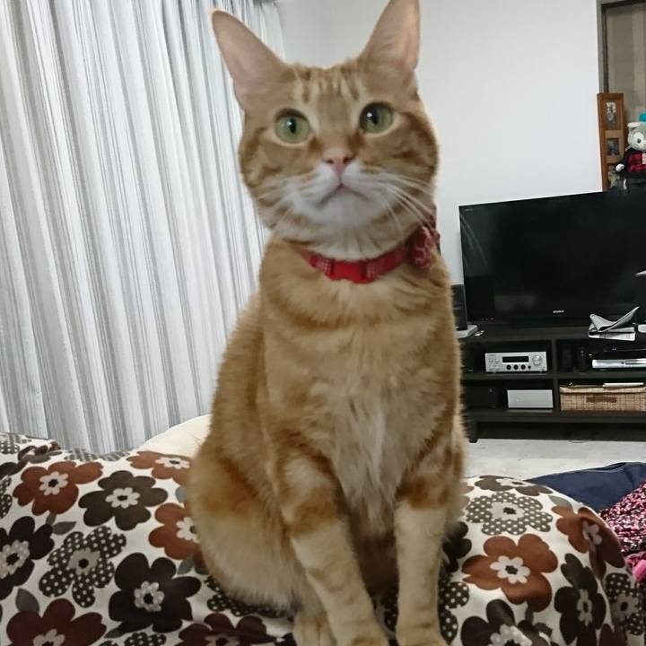 80aa83d7 c798 4c7a a774 06f4b1abe4d4 1520128958379