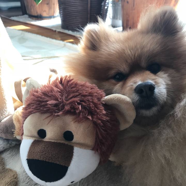 80aaa074 d042 455c 9966 70454f9782bd 1516076421527