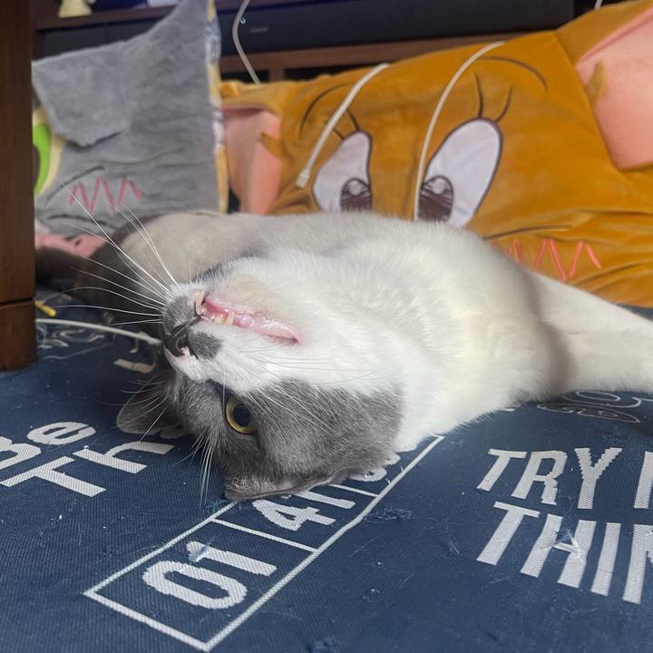 80aada3b 80b3 4620 9bf9 dabf47841086 1749174515715