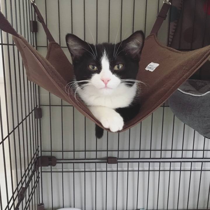 80aadcb7 7deb 44bb 9e59 e5997c28b7cf 1528756850637