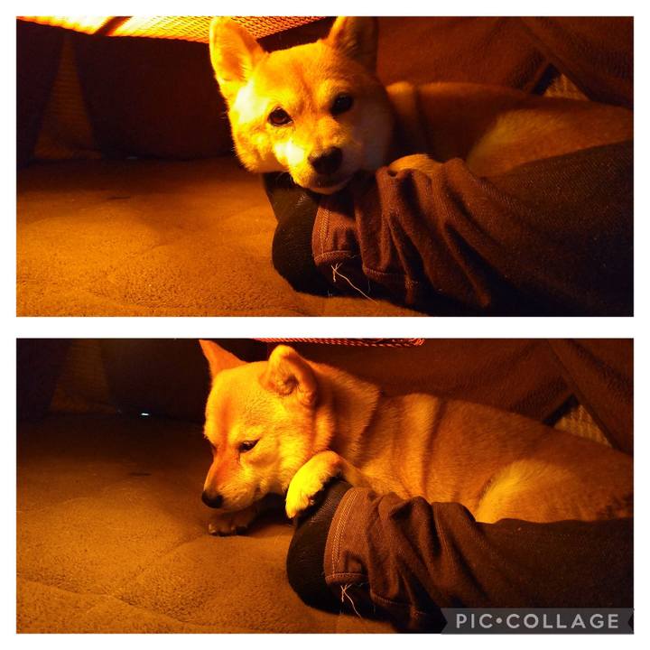 80ab12f0 6ba3 4479 9dbc dd4be5b3c3d3 1709965222050