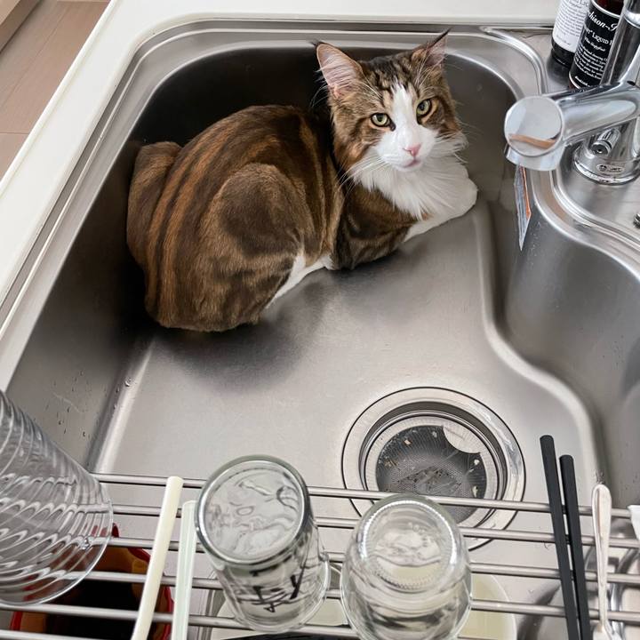 80ab5ae0 e711 43e1 bda6 95b643a2afda 1660431146827