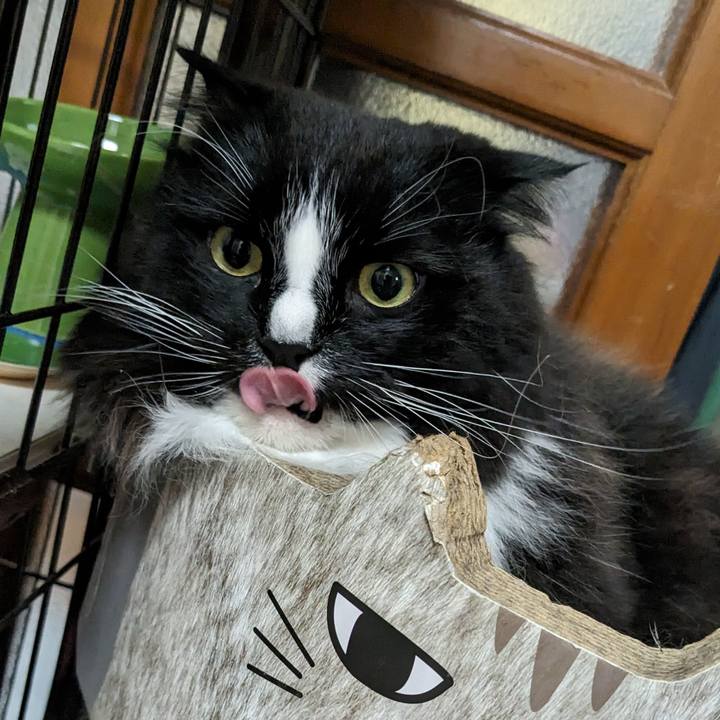 80ab74f3 1b88 4418 86ab 0e06441045d8 1713742695327