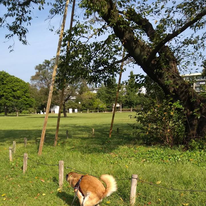 80aba776 a070 4951 abdc 0c63192ccc4a 1569888395614