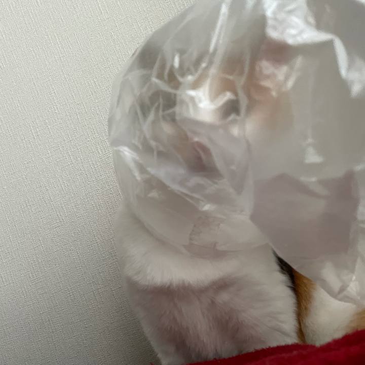 80aba89a c958 41d0 9049 f4ba72061ce9 1620775944622