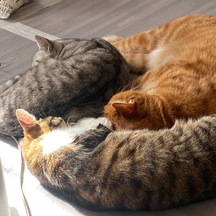 80abd100 ed20 43fb 911d 46e869943637 1640918131743