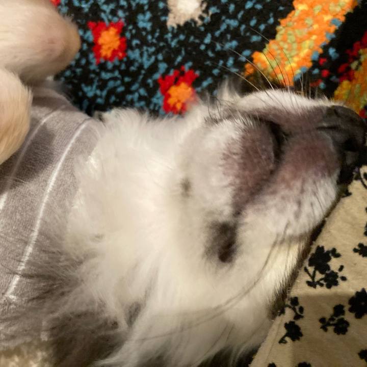 80abf30a 33e5 4258 a4d7 bd26f2a8270a 1715513636426