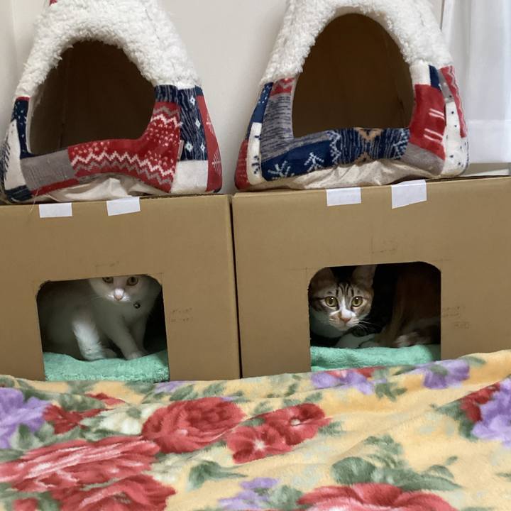 80ac4443 c221 4bfe 8667 137ddb37ba64 1671868665269