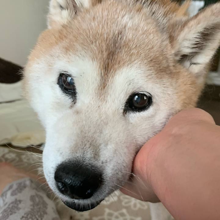 80ac4b87 08f8 4e39 9f64 5cc58c8418a1 1688354190714