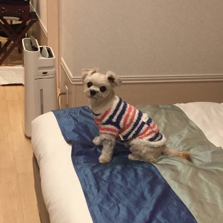 80ac5691 f018 432e a62a 8e3606a1a691 1515066204884