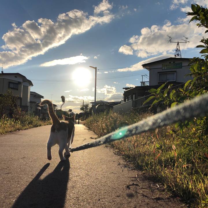 80ac6c01 4940 4693 b571 8714c842f637 1540622456238