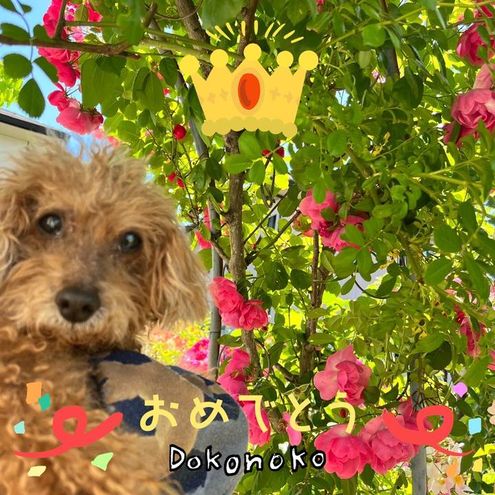 80ac76f4 83a3 46bd b515 e0f059f4789f 1685935084068