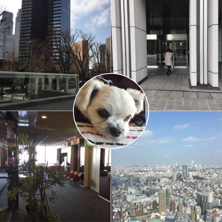 80ac90df 336d 4436 a6fb 432de659f3c2 1516437279955