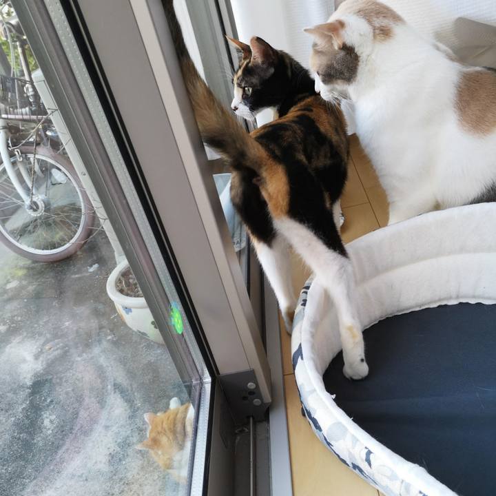 80ad9221 6432 40e5 8fc2 790a1f10424d 1599563341404