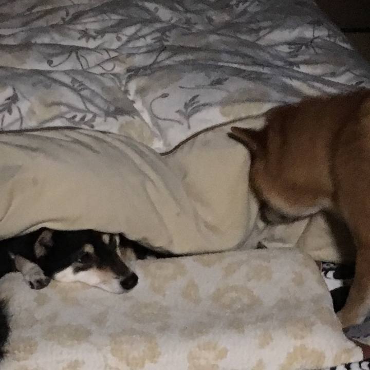 80ad9347 ee02 4f7b b6ae 508fee64117b 1517525322638