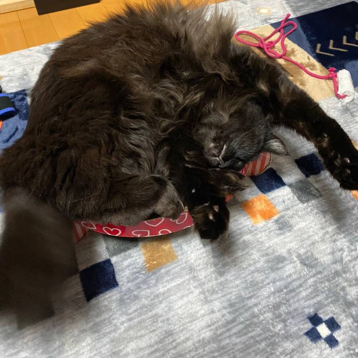 80ada333 d2ca 4514 be83 8e04d3d808ea 1581636267138