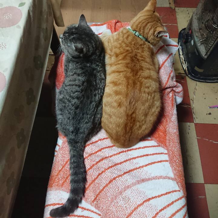 80ada62c 42b8 4a7c a9b7 e8c21ae9aef7 1584264642128