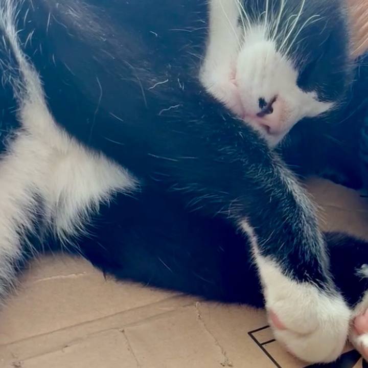 80ada688 bc05 47f7 a31e b5f0bcd79520 1766139213006