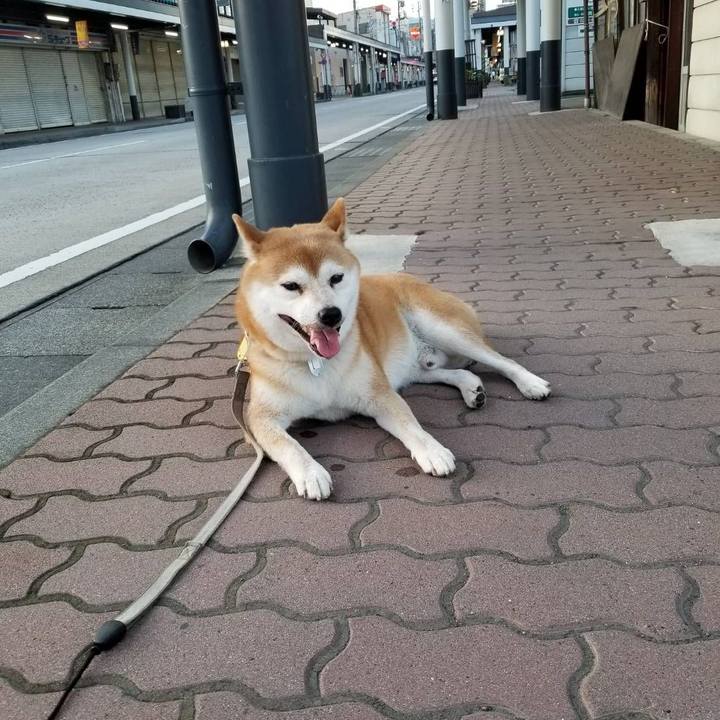 80adeaf0 dd4a 4a10 96b2 18490b5a9e9d 1567846736636