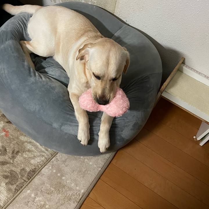 80ae8951 68c6 4d13 b46e 9f3bbb7a16e9 1642716708055