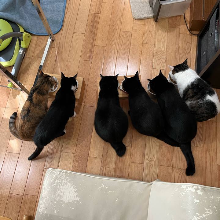 80aeeb98 1e16 4c49 8ad6 cf1980836428 1664072625693