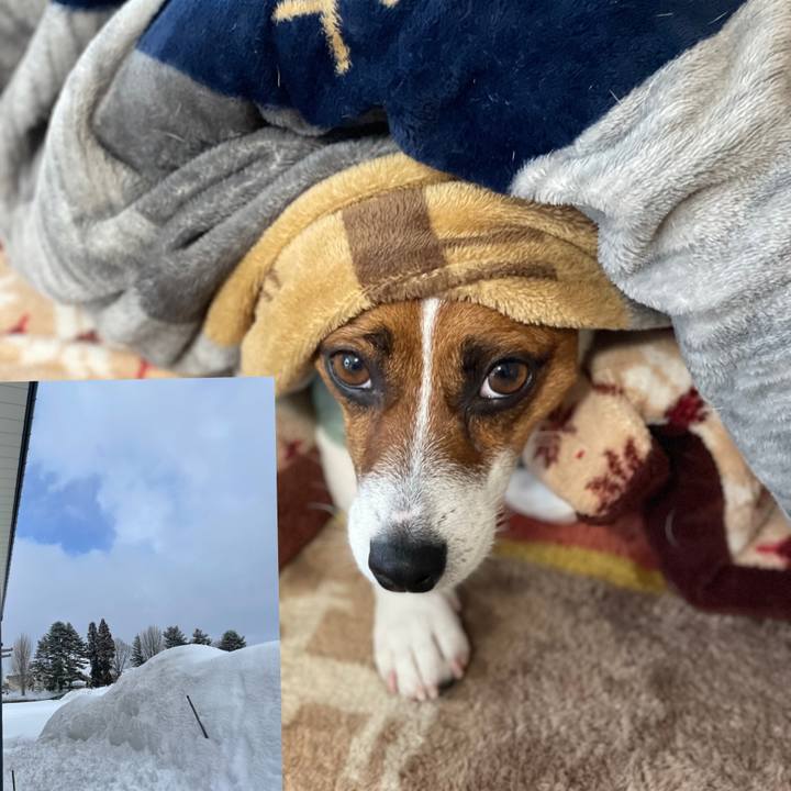 80af11a0 9bfe 4b12 b35e 3d794cc30034 1643956543262