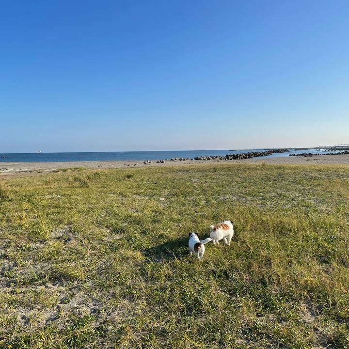 80af3140 42f3 44db 9580 e54bd922e25e 1727744509084