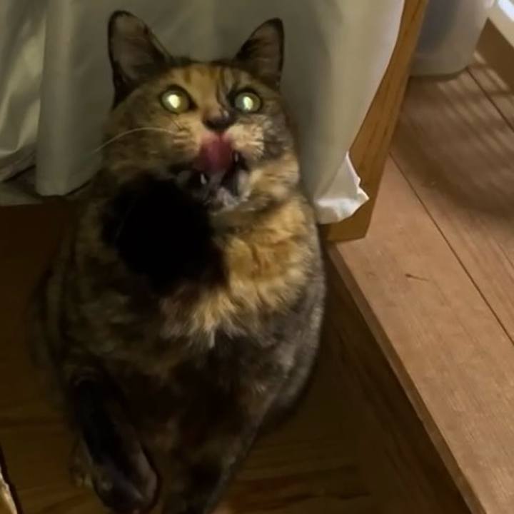 80af703c 774b 4a26 bf1e e4fe150714f6 1738012051839