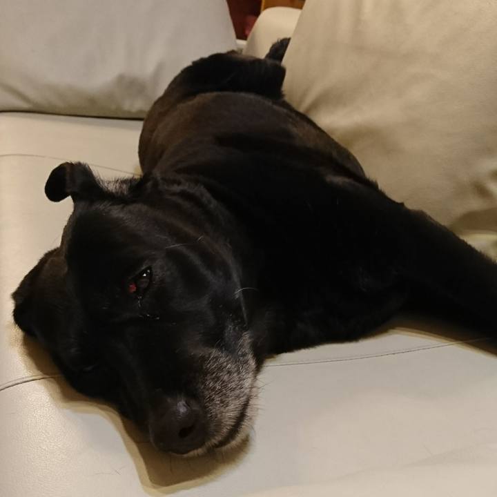 80afb390 1e0b 414d 91e5 7152c779fbb1 1549324190498