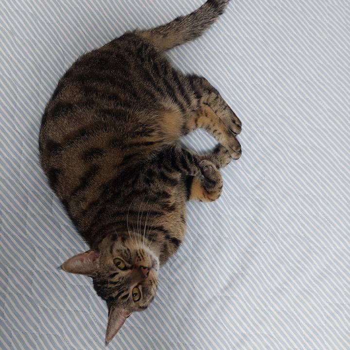 80afbbbd 8019 43e2 ad69 201252f22554 1634251493618