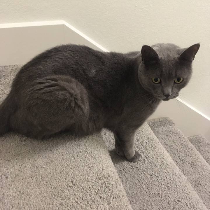 80afce5e b1cc 4249 bd59 e05f6ab0fe16 1692751508349